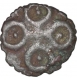 Potin Coin of Sri Satkarni of Satavahana Dynasty.