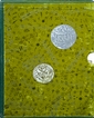 A Book On Couplets On Mughal Coins of India By Manik Jain.