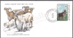 Mauritania World Wildlife Fund First Day Cover of 1978 on Animals.